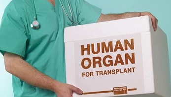 Вступил в силу Закон Республики Узбекистан «О трансплантации органов и тканей человека»