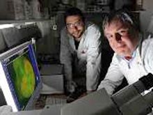 Прорыв в медицине: созданы полноценные почки из стволовых клеток