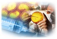 Порядок проведения прививок. Показания и противопоказания