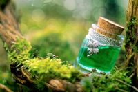 Лекарственные травы и здоровье