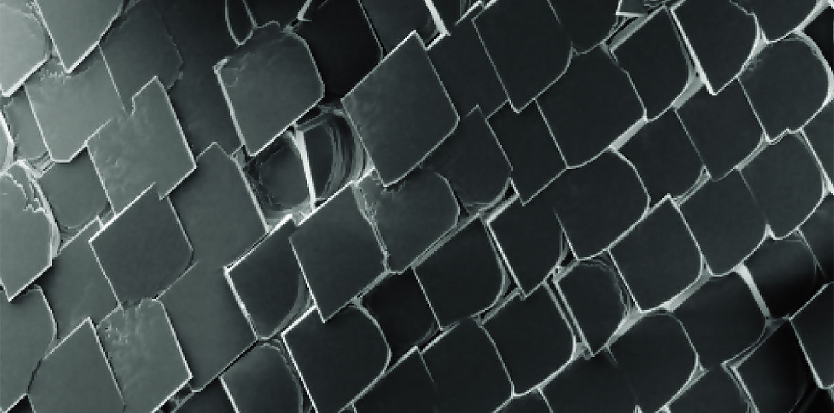 Созданы растущие импланты на основе кальцита Сергей Коленов Созданы растущие импланты на основе кальцита Сергей Коленов