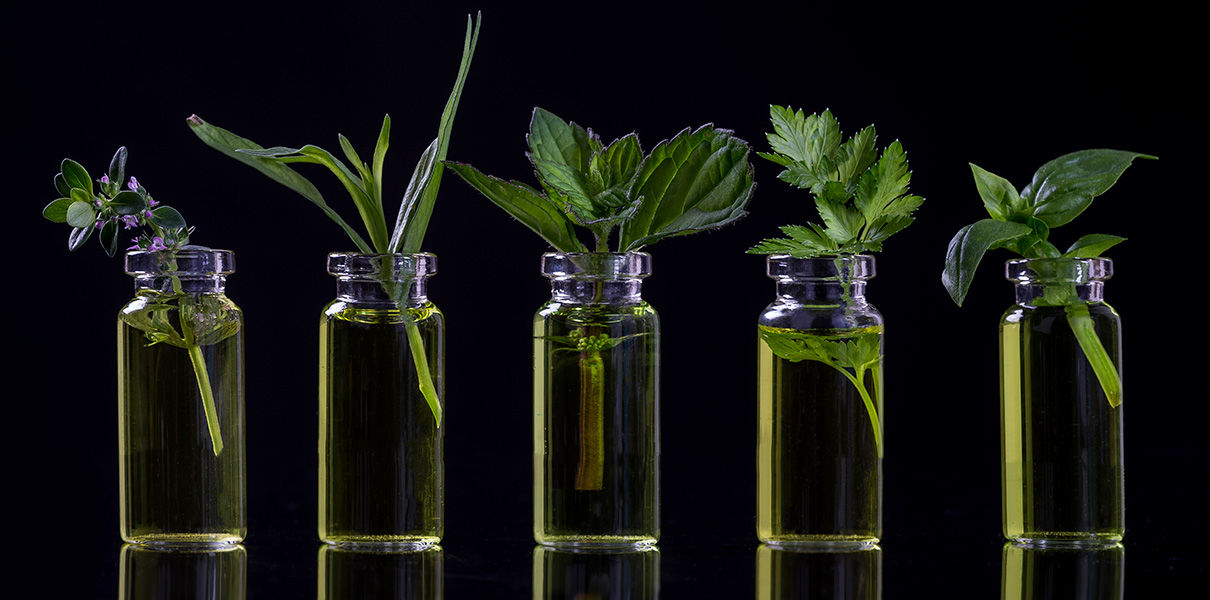 ИИ помог найти природные аналоги лекарств против рака и старения