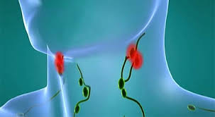 Душевная чистота и здоровый образ жизни – лучшая защита Душевная чистота и здоровый образ жизни – лучшая защита