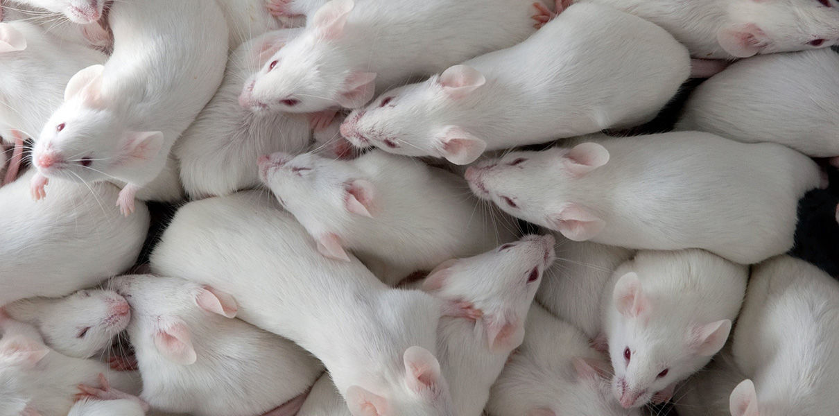 Большие данные помогут уточнить связь между генами и здоровьем