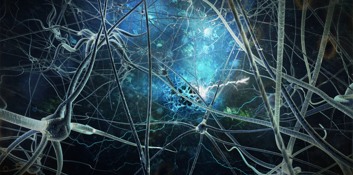 Нейробиологи выяснили, как мозг формирует привычки