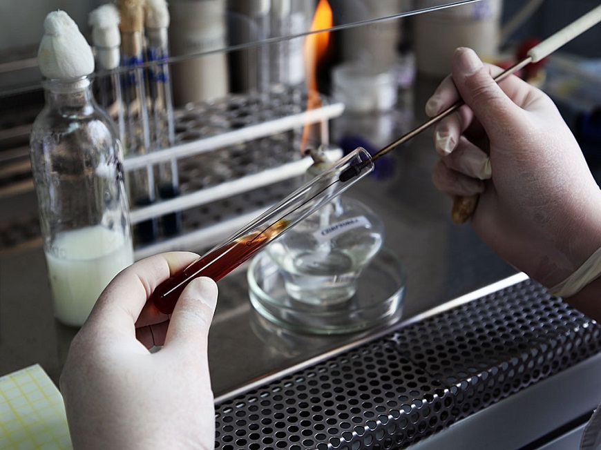 Судмедэкспертиза установила причину смерти трех сестер