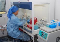 Референс Лаборатория