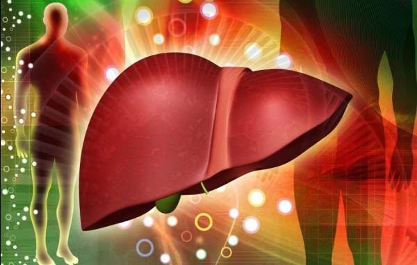 5 трав для восстановления и поддержания здоровья печени