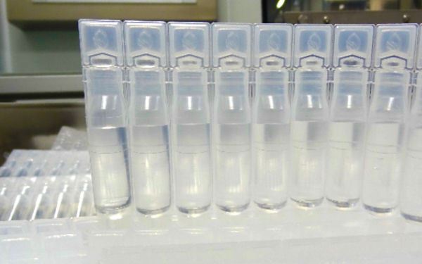 ЕБРР направляет $11 млн на модернизацию узбекского фармпредприятия «Mutabar» ЕБРР направляет $11 млн на модернизацию узбекского фармпредприятия «Mutabar»