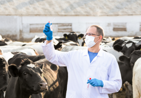Прекратить использование антибиотиков среди здоровых животных для предотвращения распространения устойчивости к антибиотикам