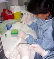 Обучение специалистов