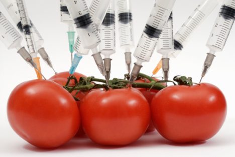 ГМО – накормим бедных или избавимся от бедности?  