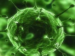 Ситуация в мире по коронавирусам и принимаемые меры по предотвращению их завоза в Узбекистан