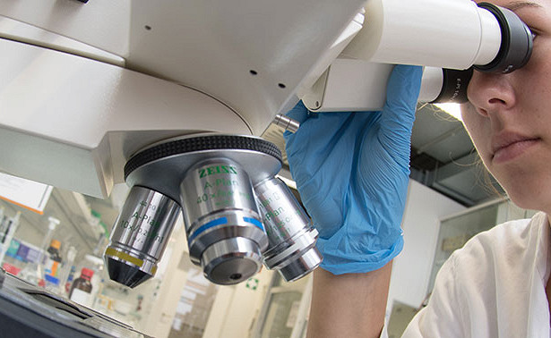 Ученые рассказали, как снизить риск преждевременной смерти