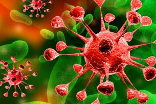 Минздрав провёл международную конференцию Минздрав провёл международную конференцию