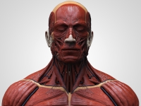 Французские врачи провели пересадку кожи пациенту с ожогами 95% тела