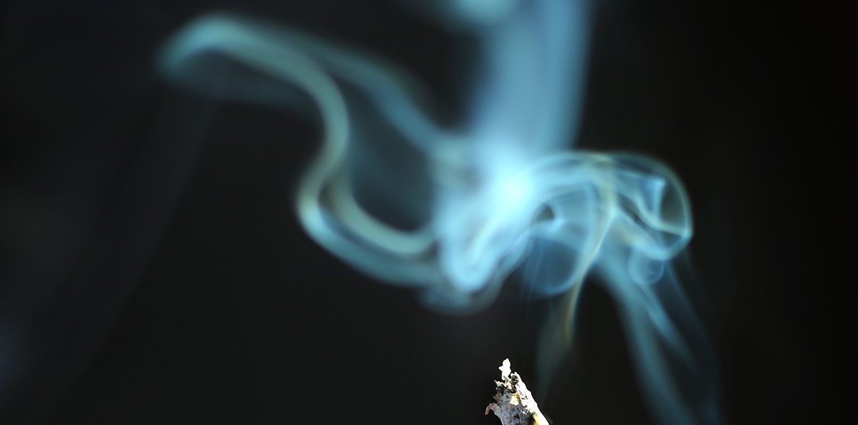 ЗОЖ предотвращает смертность раковых больных на 40% ЗОЖ предотвращает смертность раковых больных на 40%