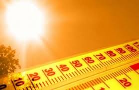 МЧС предупреждает: как действовать во время сильной жары
