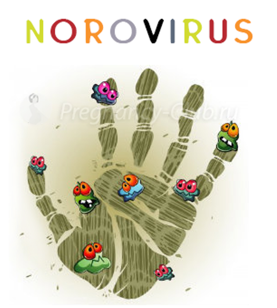 Норовирусная инфекция и ее профилактика