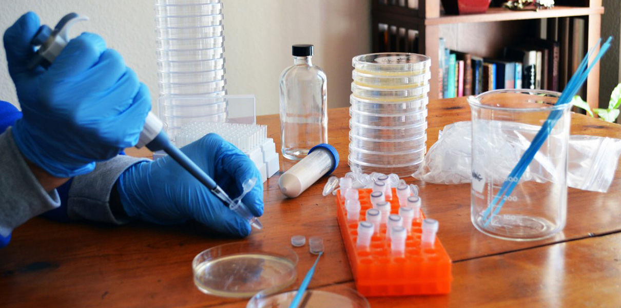 В США запретили наборы «сделай сам» для генного редактирования