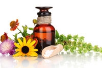 Отечественные препараты растительного происхождения – против вирусных заболеваний Отечественные препараты растительного происхождения – против вирусных заболеваний