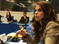 Минздрав России представил в ООН достижения российской наркологии по реализации рекомендации Плана действий