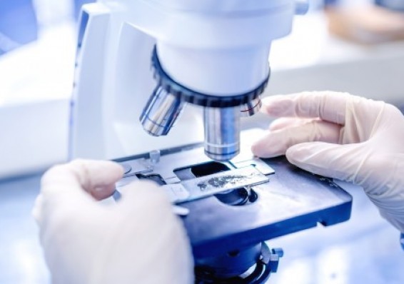 НИИЭМИЗ объявляет о БЕСПЛАТНЫХ лабораторных исследований и консультации врачей!