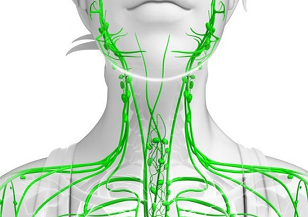 Признаки забитой лимфатической системы и 8 способов её очистить