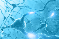 В Бухаре обсудили актуальные вопросы неврологии В Бухаре обсудили актуальные вопросы неврологии