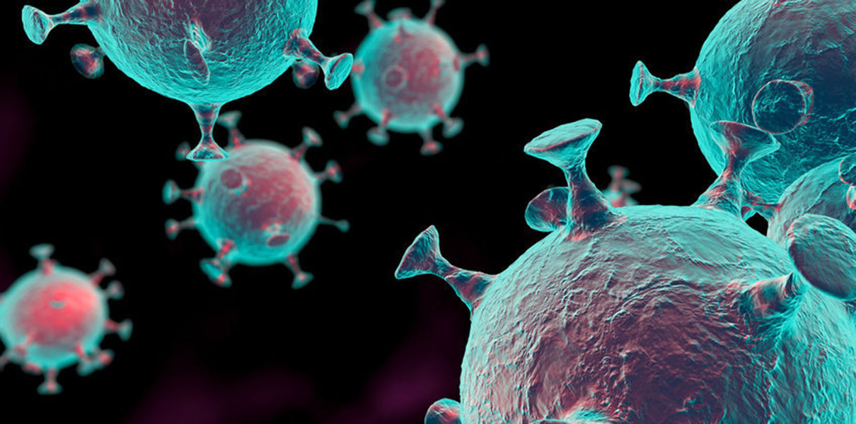 «Вирусы — не угроза, а источник новых генов» «Вирусы — не угроза, а источник новых генов»