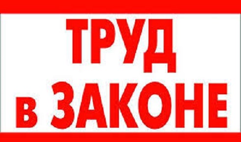 Трудовое законодательство: практика применения