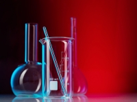 В Сколково займутся разработкой терапии буллезного эпидермолиза