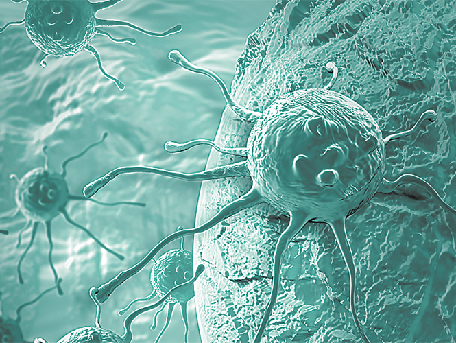 Вирусы vs бактерии Вирусы vs бактерии