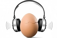 Кампания "Не подвергайте свой слух опасности!"