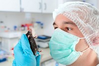 Диета с ограничением калорий омолаживает мыщцы