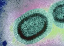 Каждый год от респираторных заболеваний, связанных с сезонным гриппом, умирает до 650 000 человек
