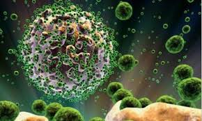 Очередной съезд инфекционистов Узбекистана 