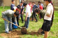 Каждому ребенку – по саженцу Каждому ребенку – по саженцу