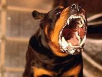 В центре внимания