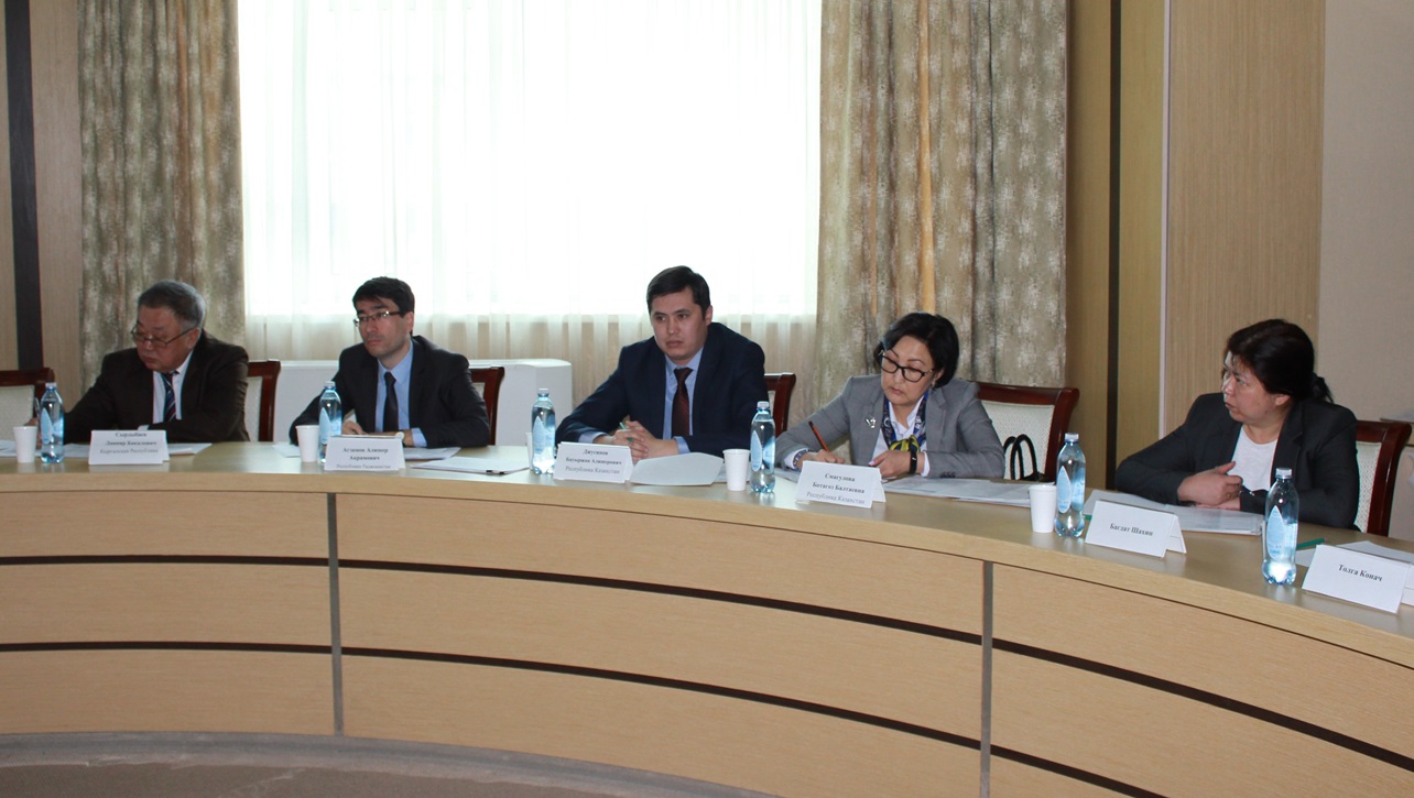 В Астане обсудили вопросы сотрудничества стран СНГ с ВОЗ