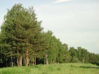 Ответственны все и каждый