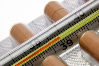 В Ташкенте состоялось II ежегодное совещание по гриппу В Ташкенте состоялось II ежегодное совещание по гриппу