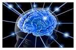 Как мозг помнит будущее
