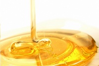 Мед – панацея от тысячи бед