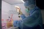 В Узбекистане планируют провести первые операции по пересадке стволовых клеток