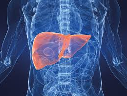 Минздрав Индии разработает программу бесплатного лечения гепатита 