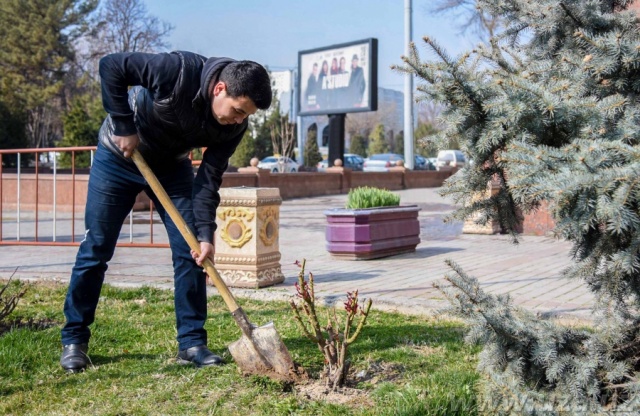 Олицетворение мира, благородства, благоустроенности, согласия