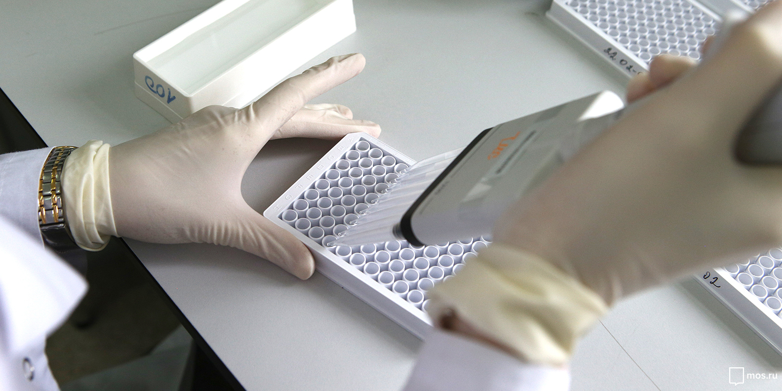 Москва присоединится к Всемирному дню борьбы с вирусом папилломы человека