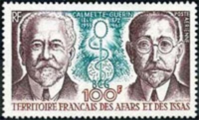 BCG-терапия: взгляд фтизиоуролога