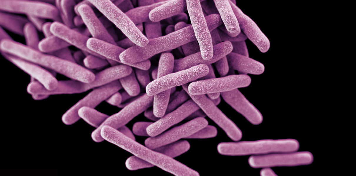 Антибиотик из 70-х поможет в борьбе с супербактериями